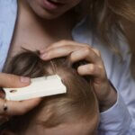 coiffeur coloriste les nuances de celine bordeaux article de blog sur les poux